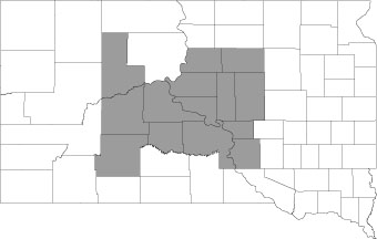 Central South Dakota Climate Information