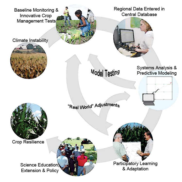 agriculture chart types flow of a on Sustainablecorn.org